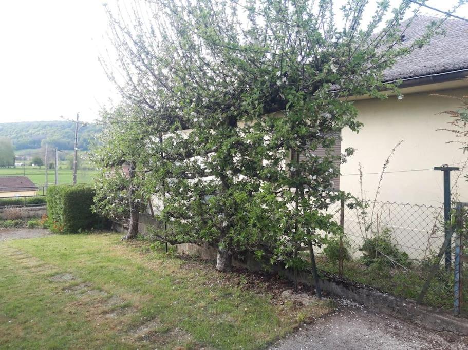 Maison Lombardi - Gite 6 Personnes 4 Etoiles Dun-sur-Meuse Kültér fotó